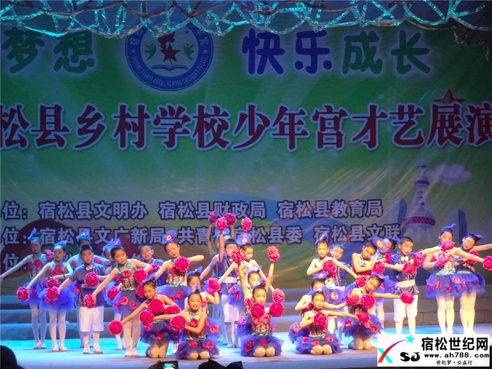 宿松县成功举办第二届乡村学校少年宫才艺展演活动 (6).jpg