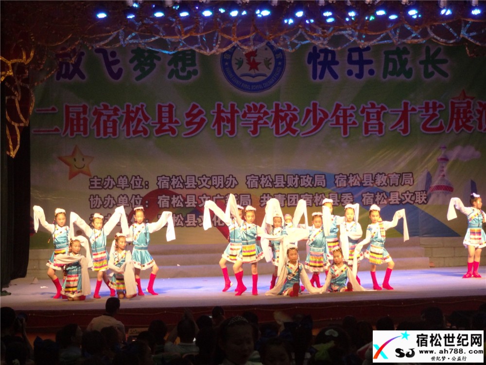 宿松县成功举办第二届乡村学校少年宫才艺展演活动 (9).jpg