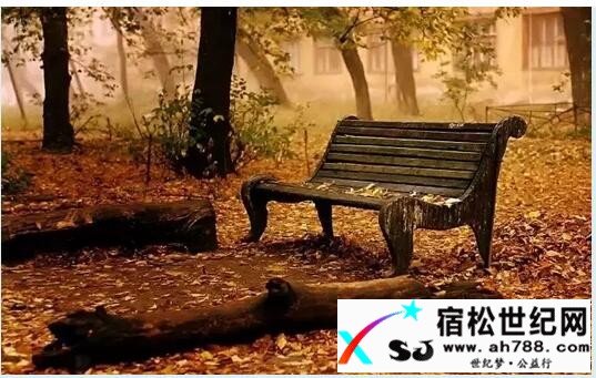 QQ截图20170602211907.jpg