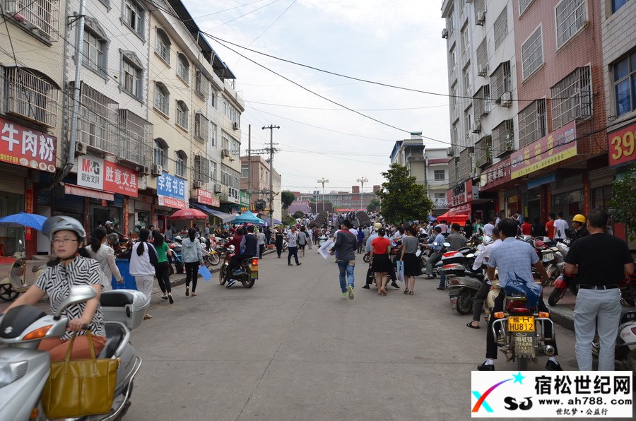 DSC_1411.JPG