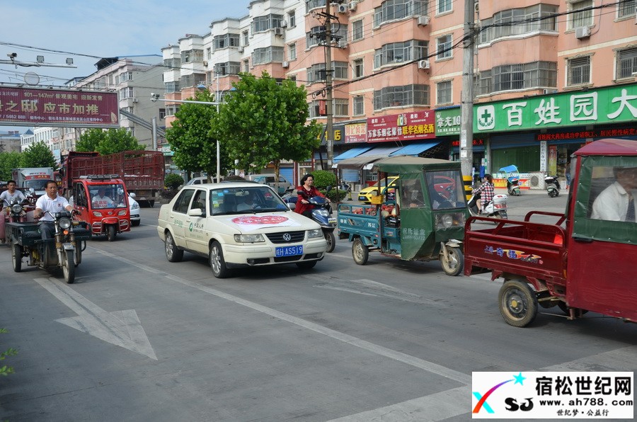DSC_1455.JPG