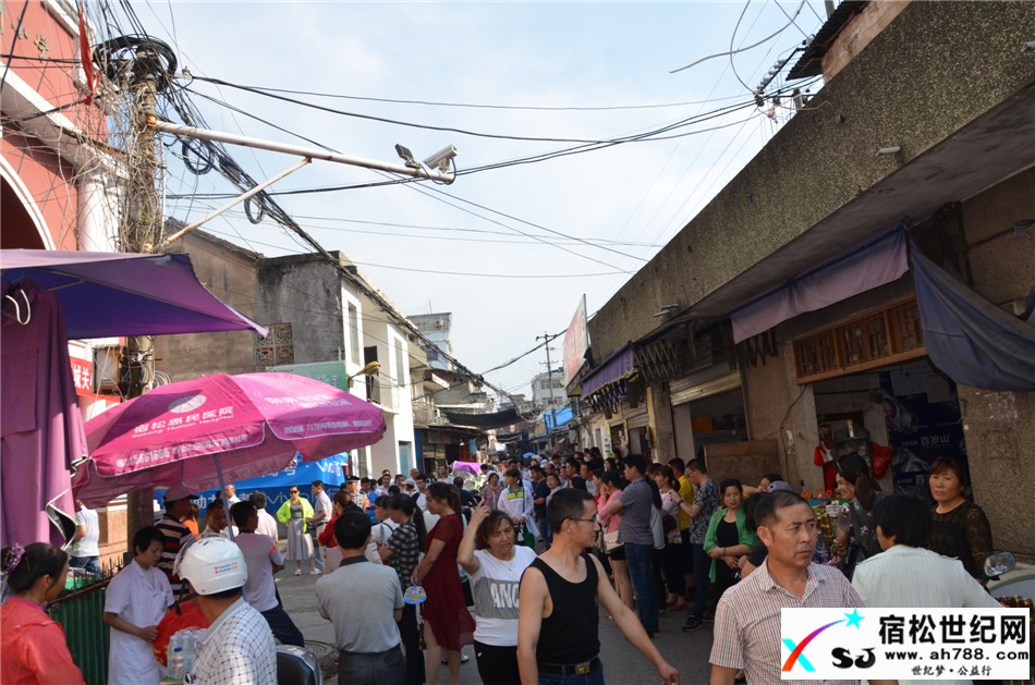 DSC_1619.jpg