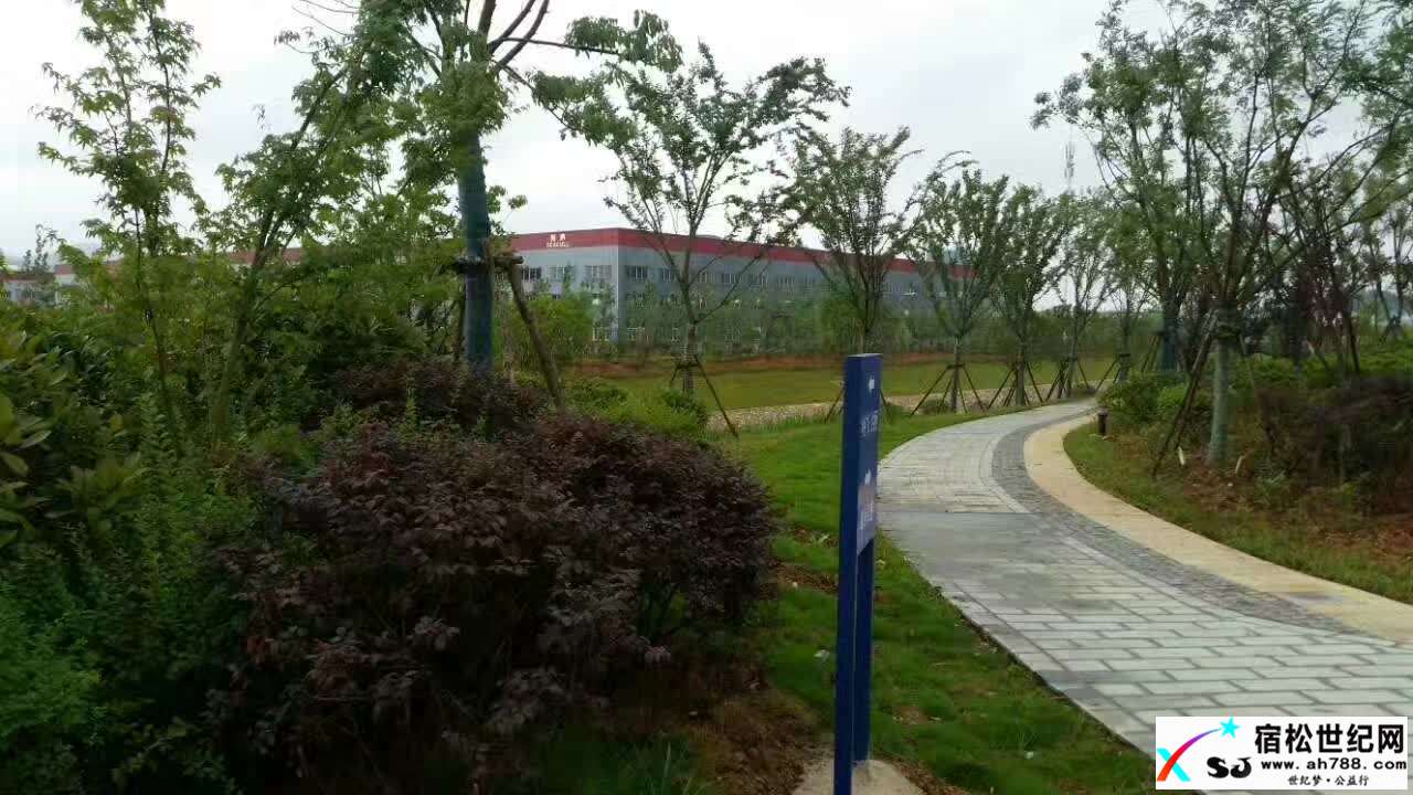 微信图片_20170611162053.jpg
