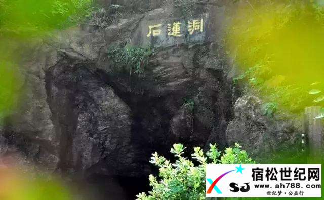 微信图片_20170616015758.jpg