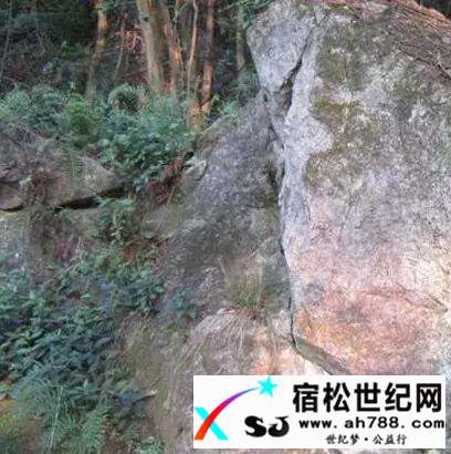 微信图片_20170616023052.jpg