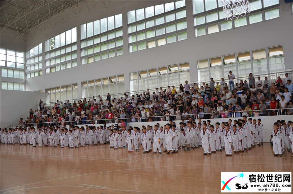中国猛武会宿松少年强品格塑造教育2017首届新生汇报演出在宿松中学体育活动中心举行 (6).jpg
