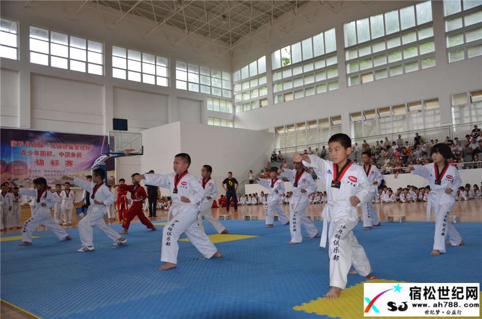 中国猛武会宿松少年强品格塑造教育2017首届新生汇报演出在宿松中学体育活动中心举行 (13).jpg