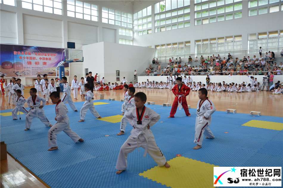 中国猛武会宿松少年强品格塑造教育2017首届新生汇报演出在宿松中学体育活动中心举行 (12).jpg
