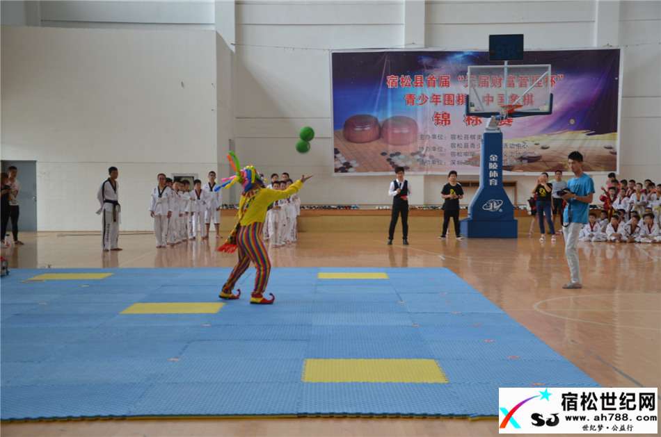 中国猛武会宿松少年强品格塑造教育2017首届新生汇报演出在宿松中学体育活动中心举行 (19).jpg