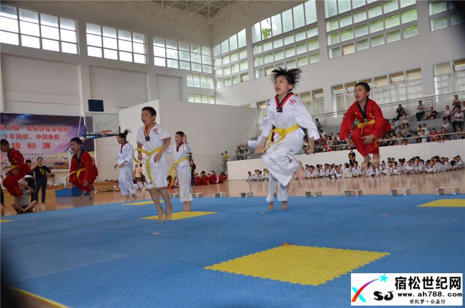 中国猛武会宿松少年强品格塑造教育2017首届新生汇报演出在宿松中学体育活动中心举行 (21).jpg