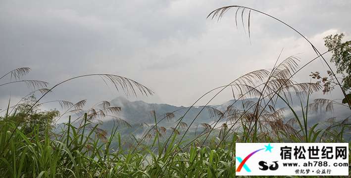 烟雨.青山.绿水。