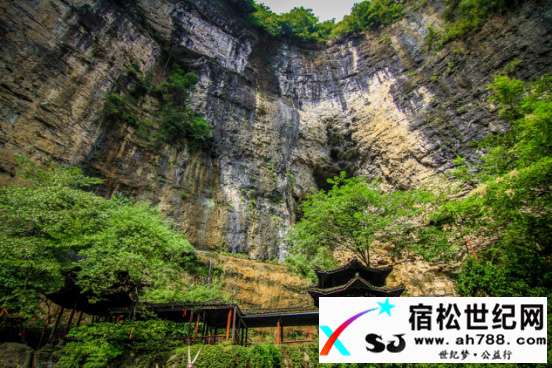图片5.jpg