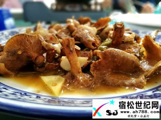 图片16.jpg
