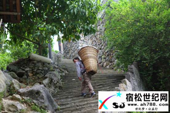 图片25.jpg