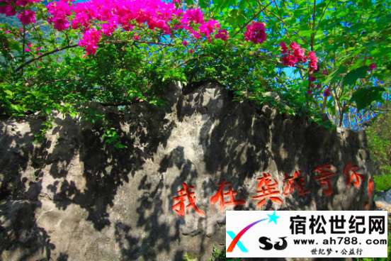 图片32.jpg