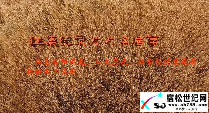 宿松征集纪录片片名启事纪录片.jpg
