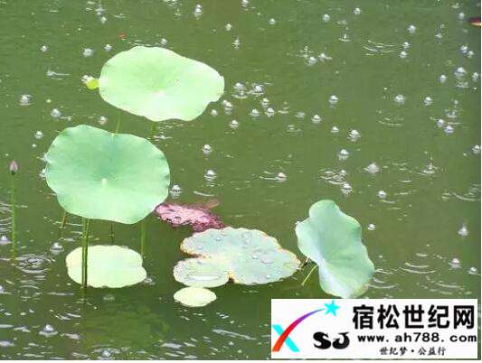 QQ截图20170714204713.jpg