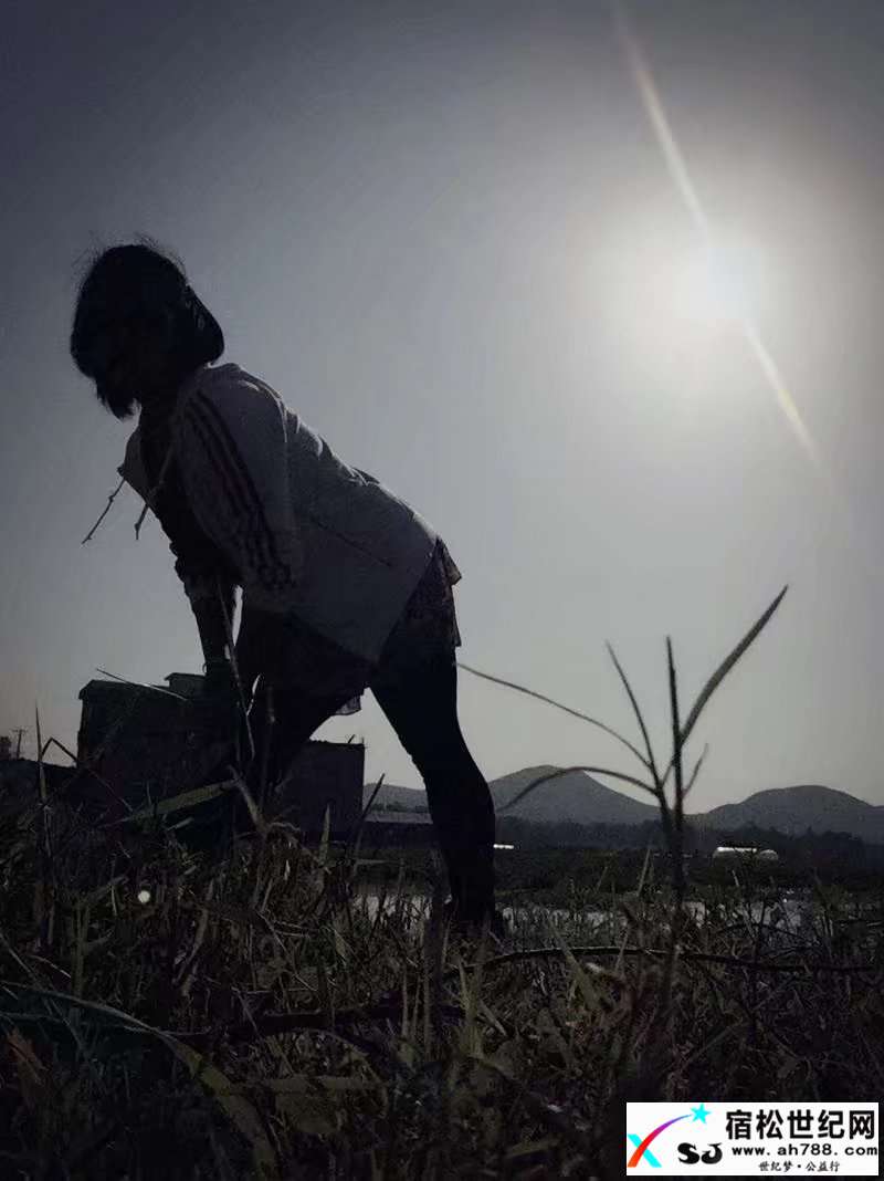 大河村