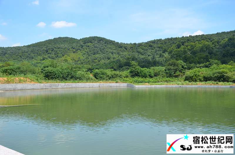 宿松竹林山庄 (4).jpg
