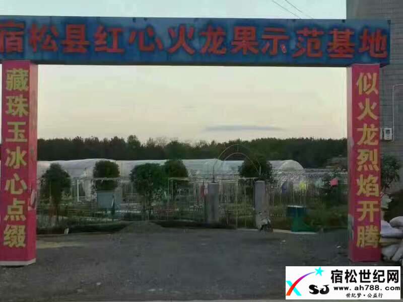 232012uwpa2mswosmqlgum.jpg