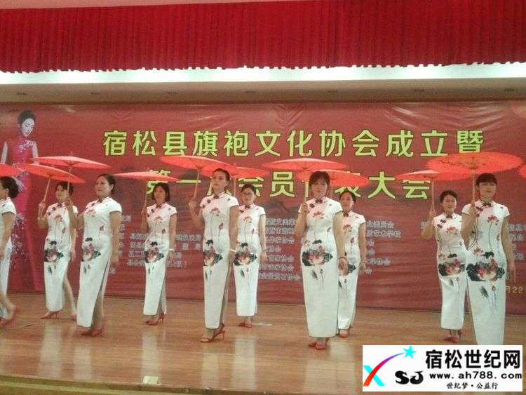 宿松县旗袍文化协会正式成立 (19).jpg