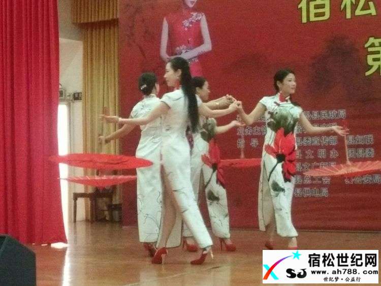 宿松县旗袍文化协会正式成立 (22).jpg
