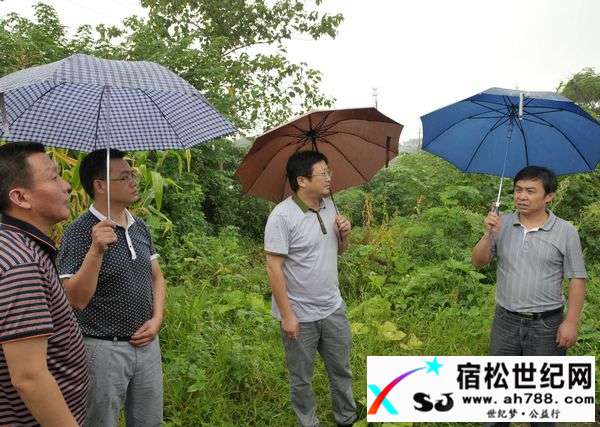 黄美华调研电力重点项目建设宿松世纪网