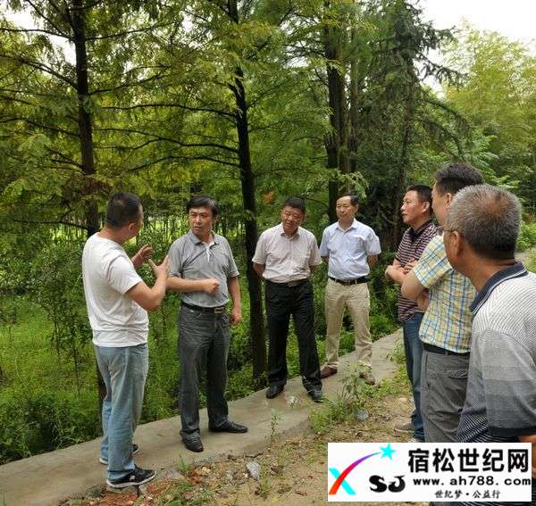 黄美华调研电力重点项目建设宿松世纪网