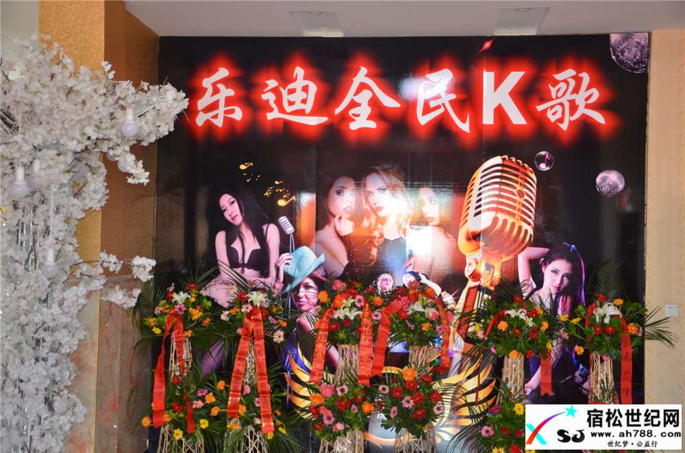 乐迪全民K歌俱乐部盛大开业暨文艺展演宿松世纪网