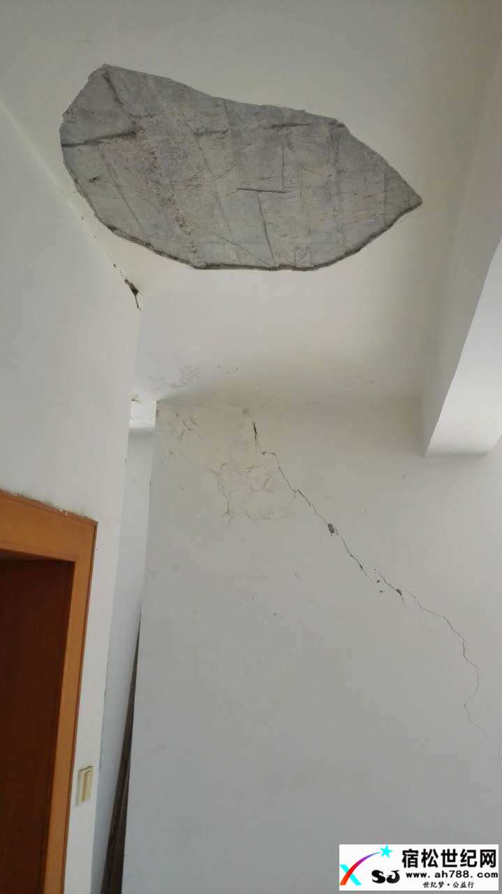 请宿松各界关注我们宿松世纪网