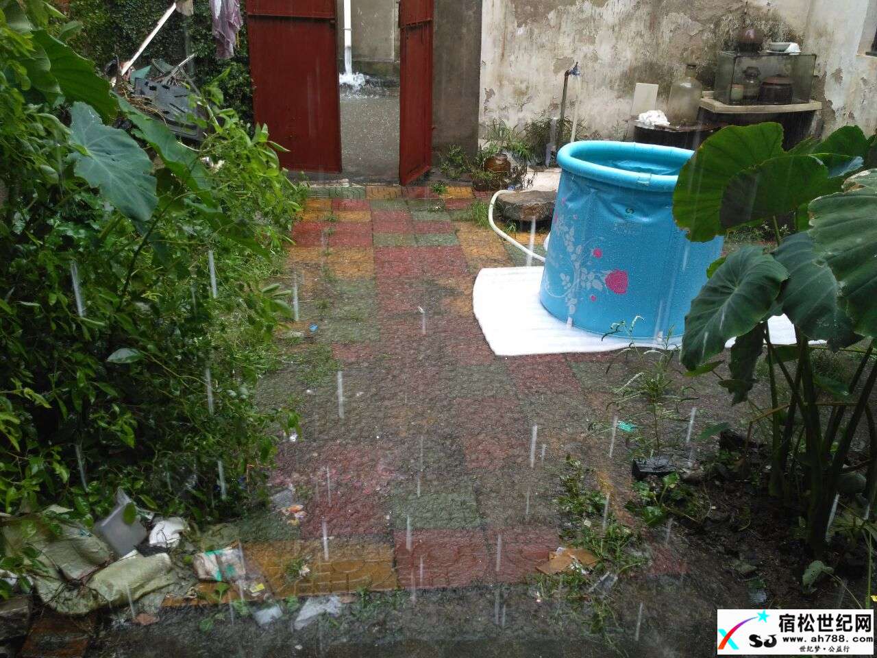 积水1.jpg