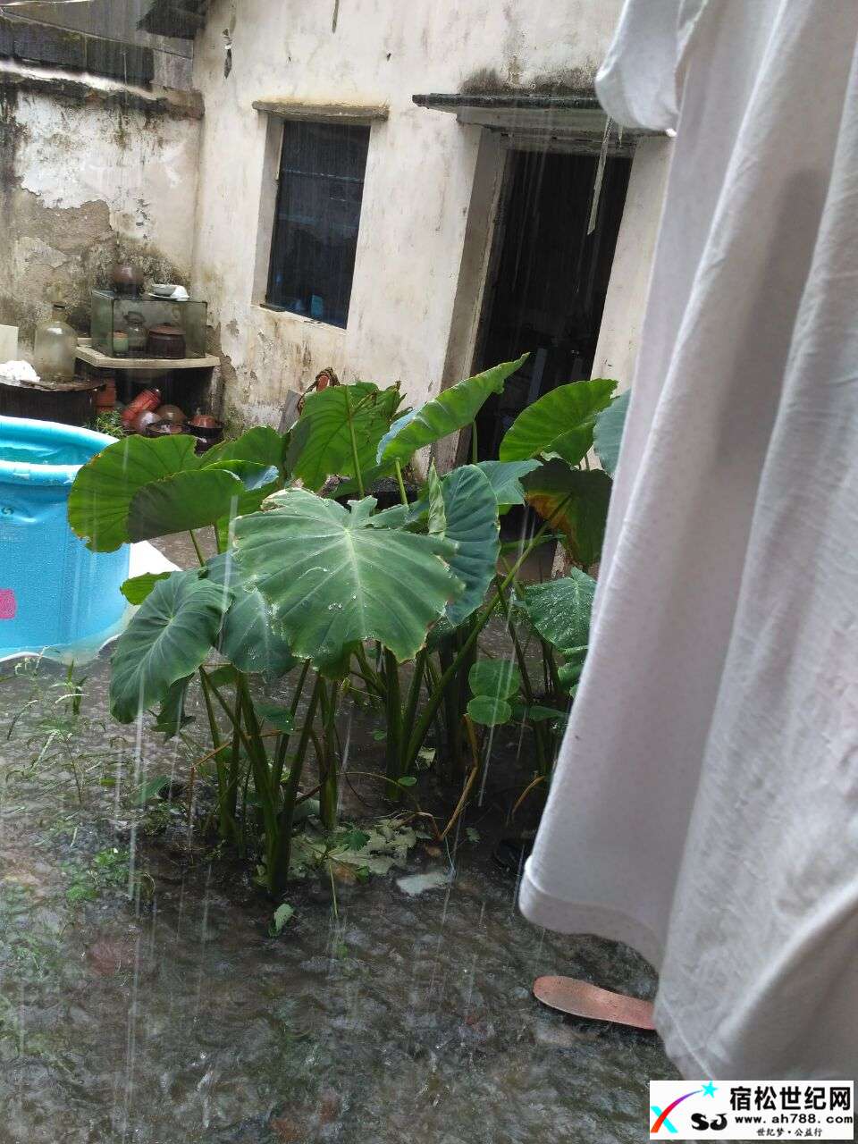 积水3.jpg