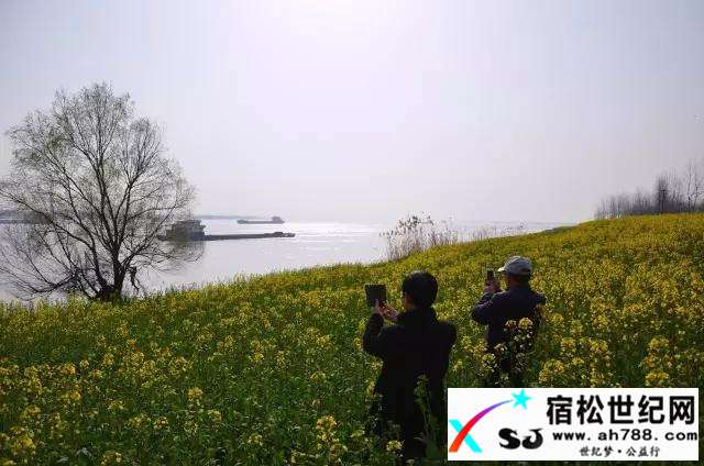 微信图片_20170821210014.jpg