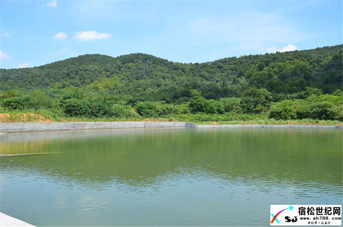 宿松竹林山庄游泳场23.jpg