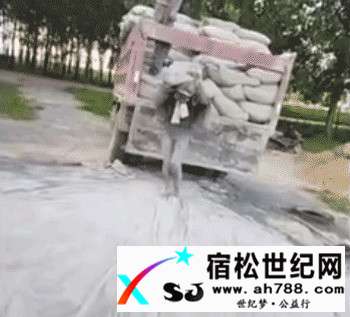 微信图片_20170823001445.jpg