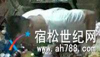QQ图片20170830001934.jpg