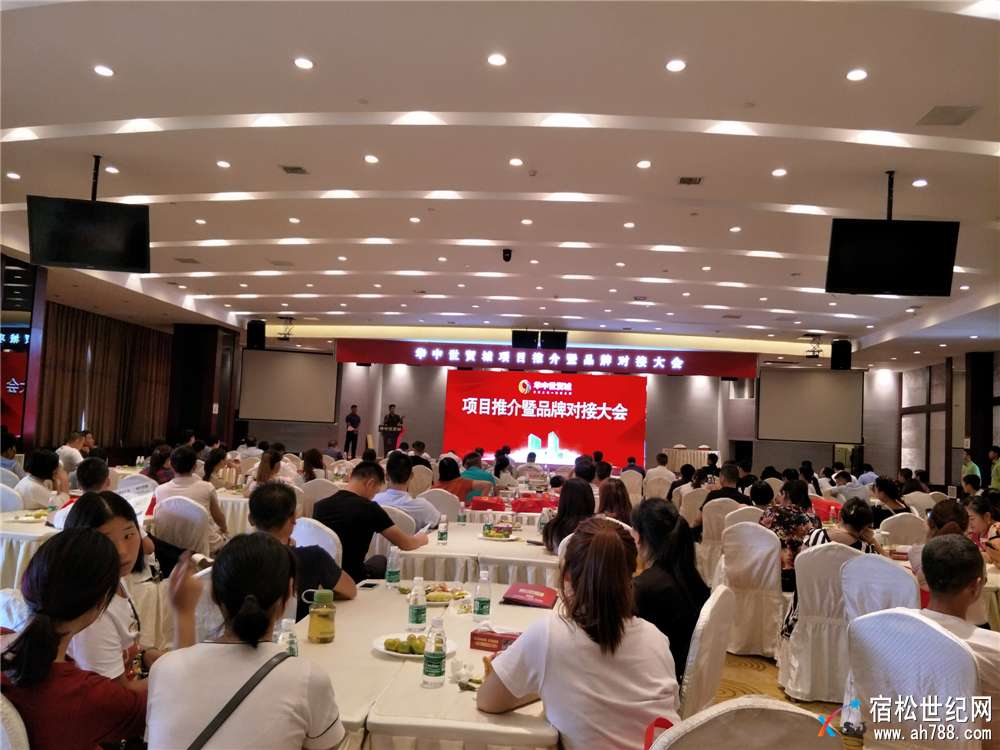 华中世贸城项目推介暨品牌对接大会隆重举行 (3).jpg