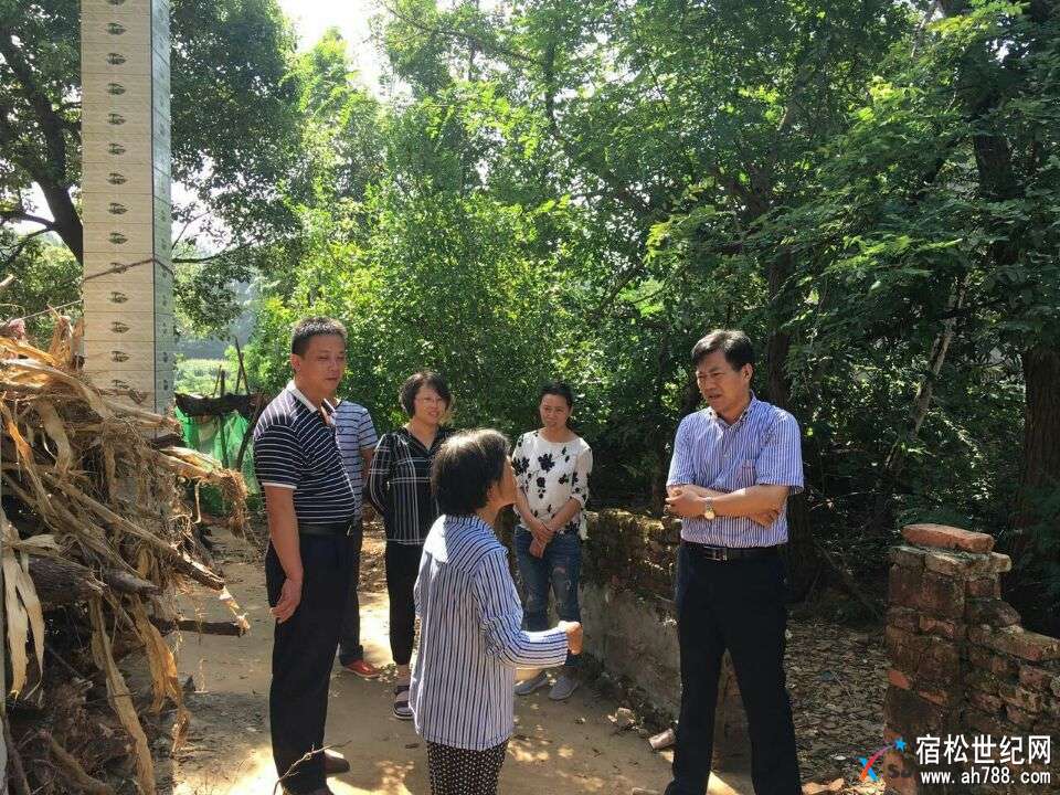 黄毛怀情牵望墩村 (4).jpg