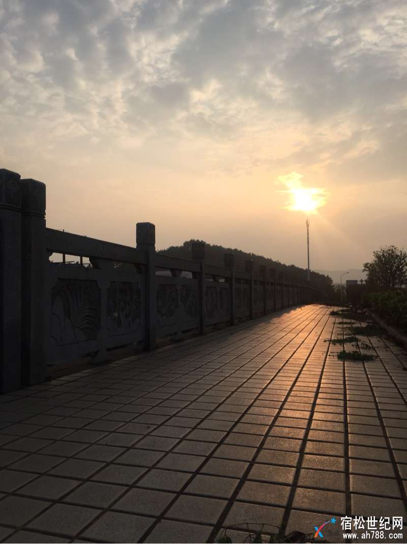 221707yfrtvue8e8yunlye.jpg