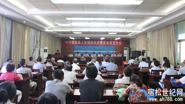 宿松法院召开机关党委成立大会.jpg