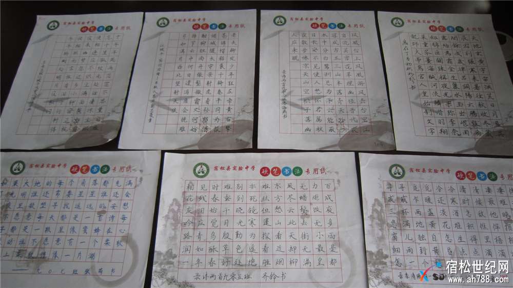 宿松实验中学举行第三届书法比赛 (5).jpg