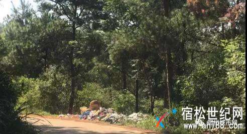 微信图片_20170920031728.jpg