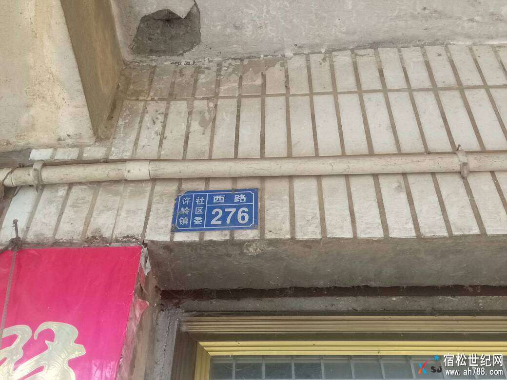 142041gvjkgknn1kbzgbks.jpg