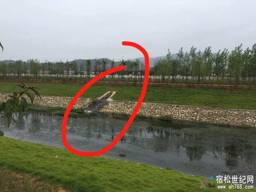微信图片_20170924110147.jpg