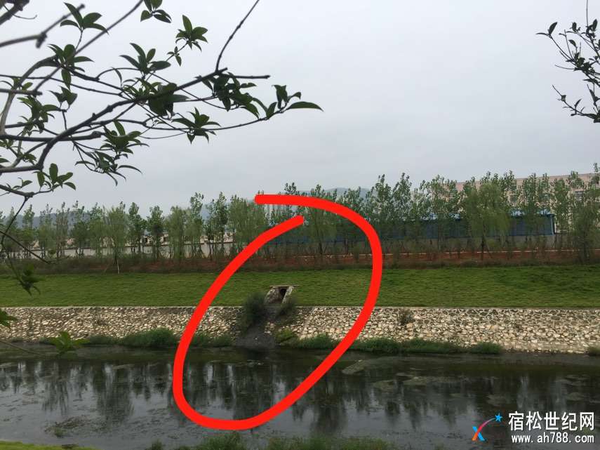 微信图片_20170924110127.jpg