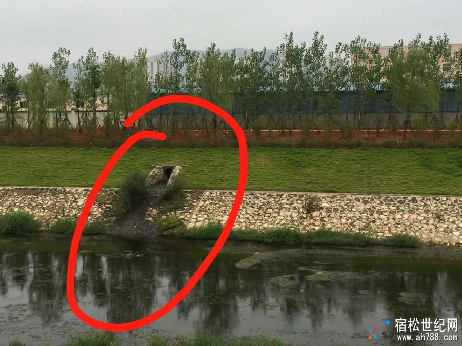微信图片_20170924110154.jpg