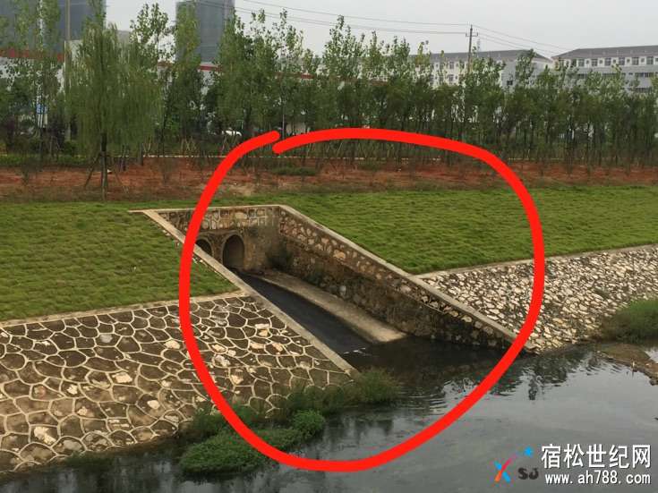 微信图片_20170924110137.jpg
