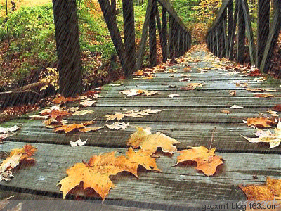 5cad79ebxc84815a8e5f9&amp;690.gif