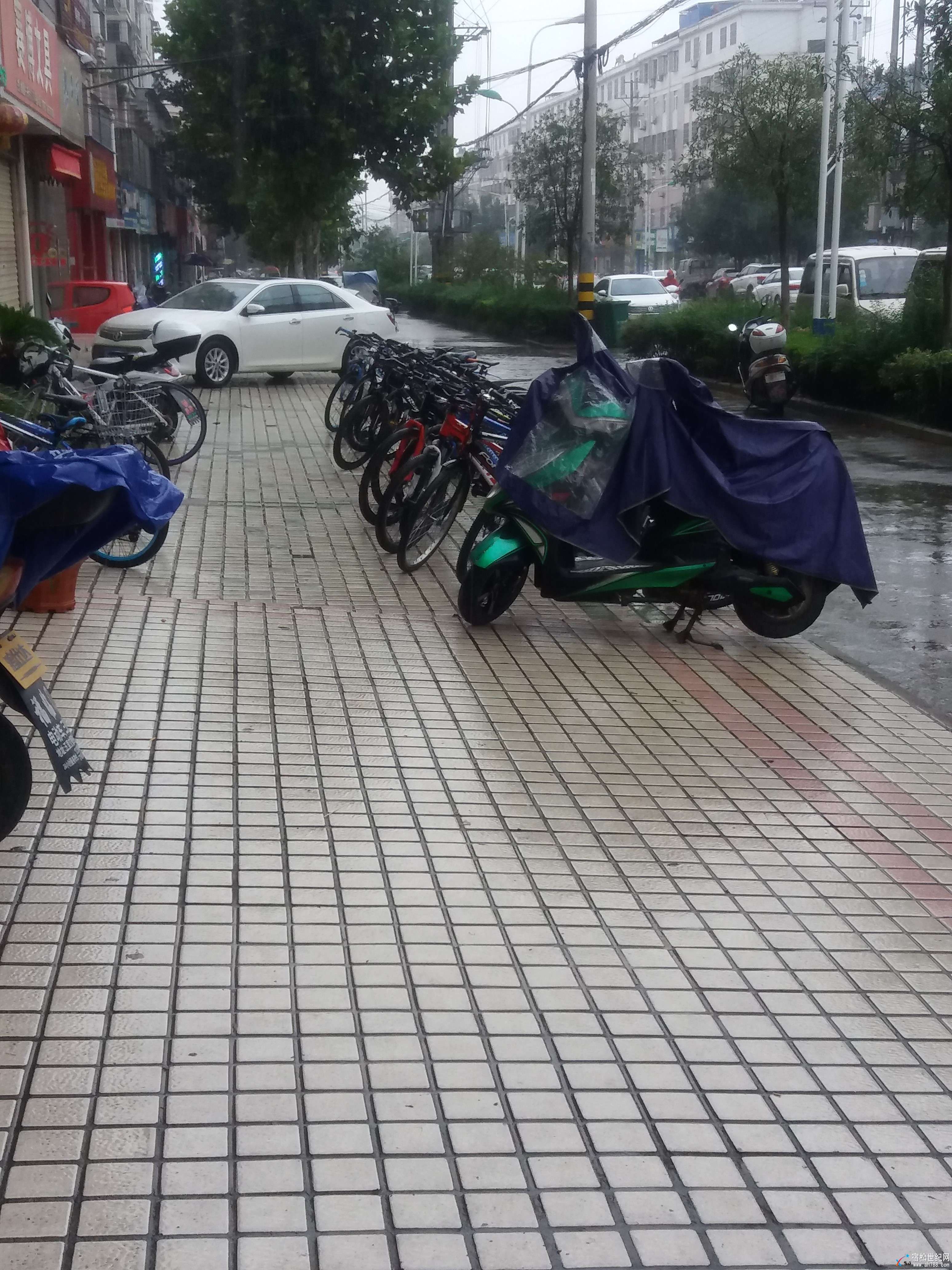 20170927_083713.jpg