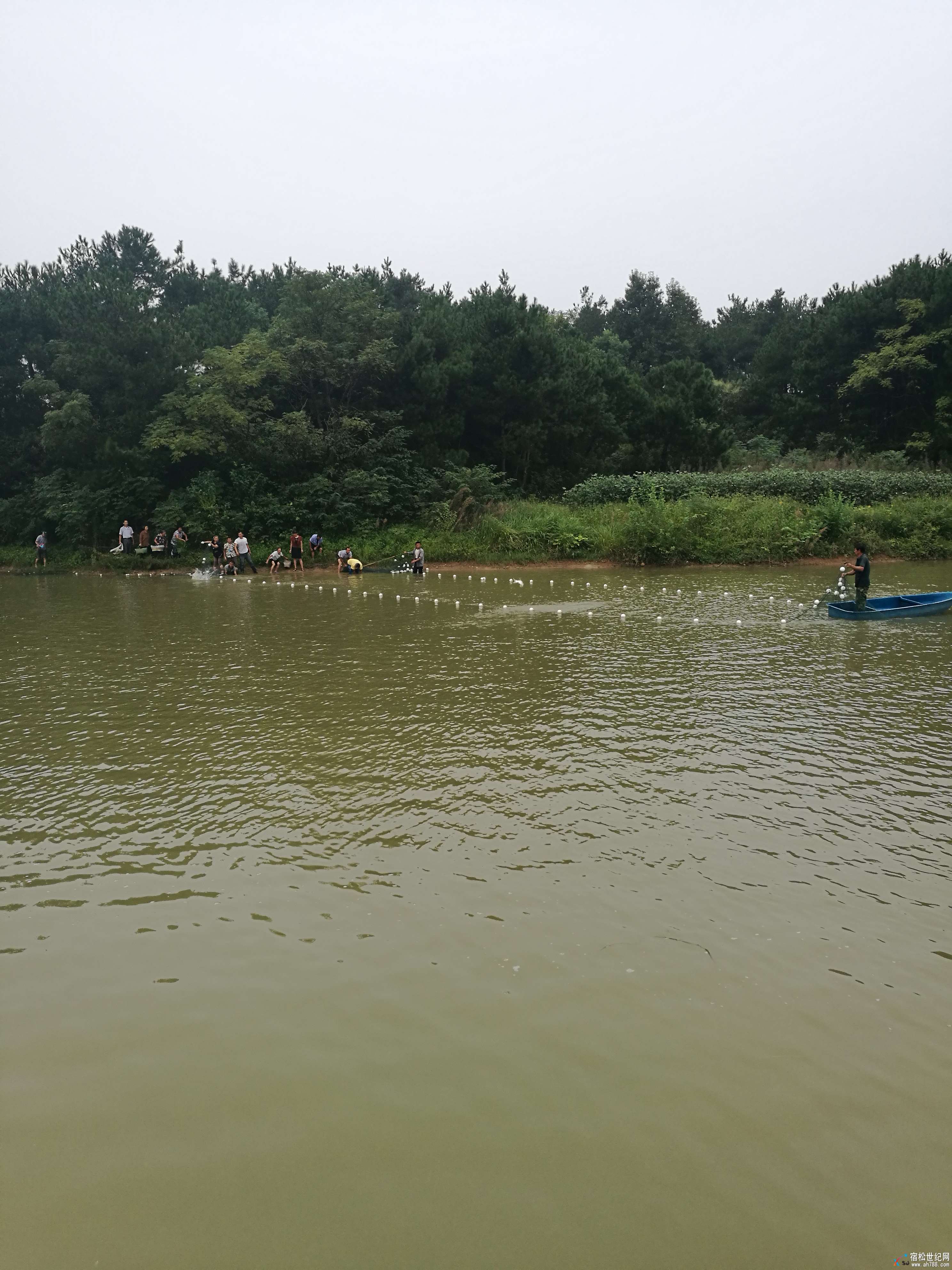 官塘月半捞鱼.jpg